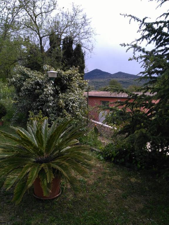 Agriturismo Usurtala Orani Zewnętrze zdjęcie