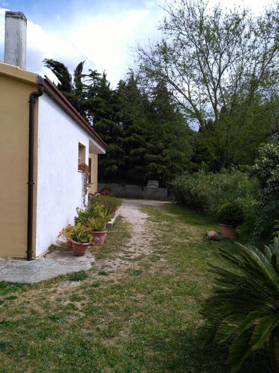 Agriturismo Usurtala Orani Zewnętrze zdjęcie
